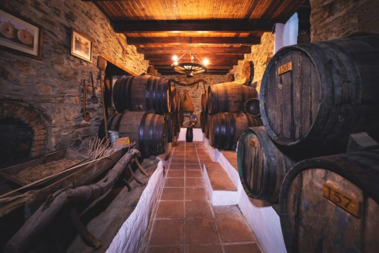 bodega-antonio-munoz-cabrera-1-1536x1024[1]