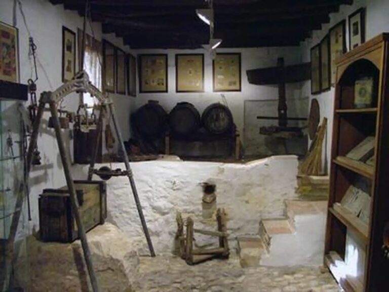 museo_(1)[1]