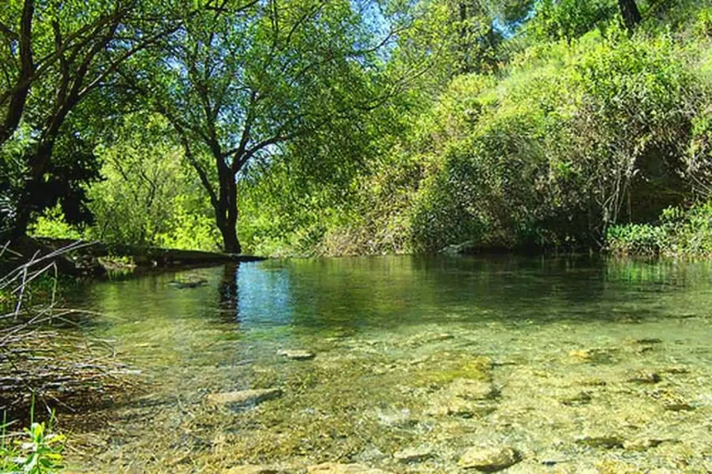 Baños Arabes Las Majadas Alcaucín