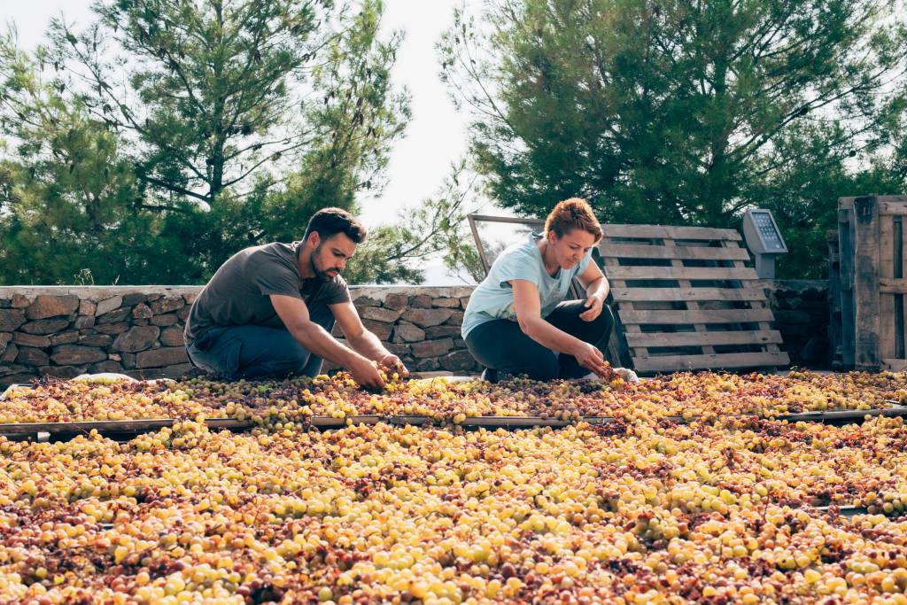 bodega bentomiz