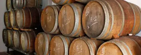 domaine viticole jose molina