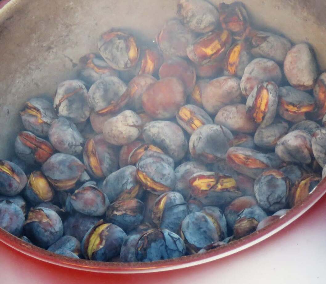 Castaña-Alcaucin